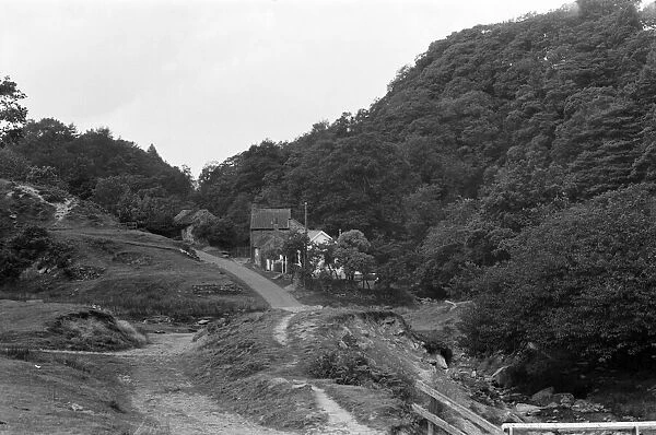 Views of Darnholm, near Goathland, North Yorkshire. September 1971
