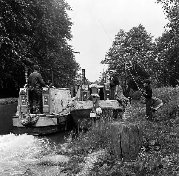 Views along the Grand Union Canal, in Hertfordshire. 19th June 1954