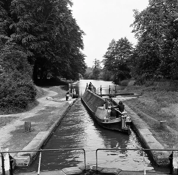 Views along the Grand Union Canal, in Hertfordshire. 19th June 1954