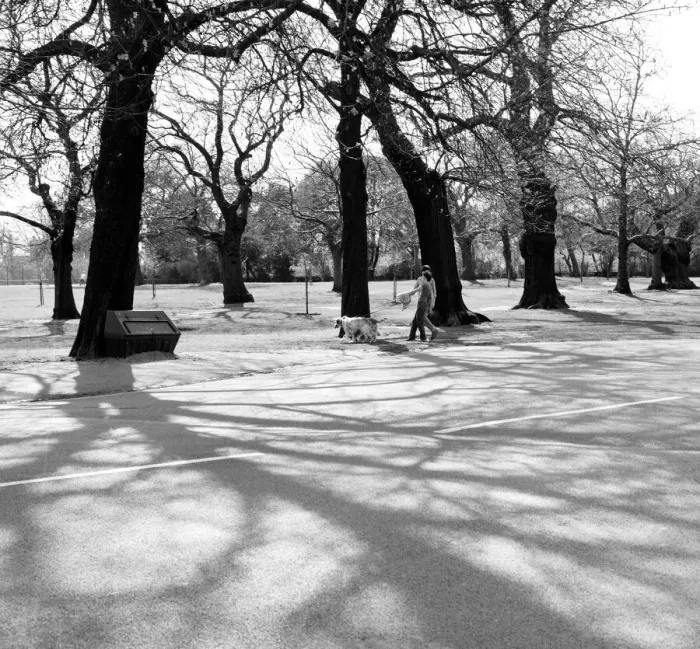 Framed Print : Views of Greenwich Park. 28th March 1981 Framed Print : Views of Greenwich Park. 28th March 1981