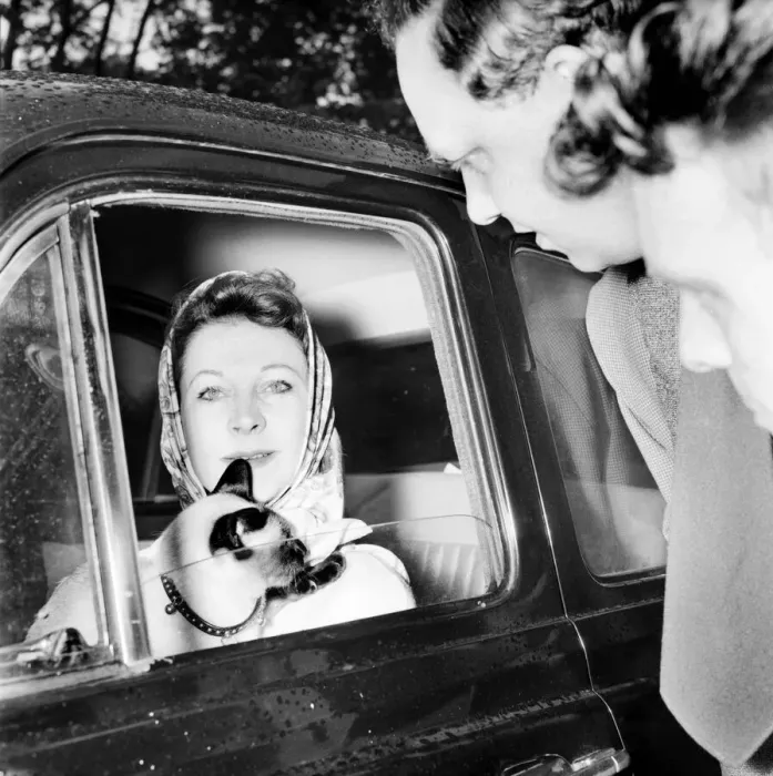 Framed Print : Vivien Leigh leaving her flat at 54 Eaton Square tonight at 6. 15 pm Framed Print : Vivien Leigh leaving her flat at 54 Eaton Square tonight at 6. 15 pm