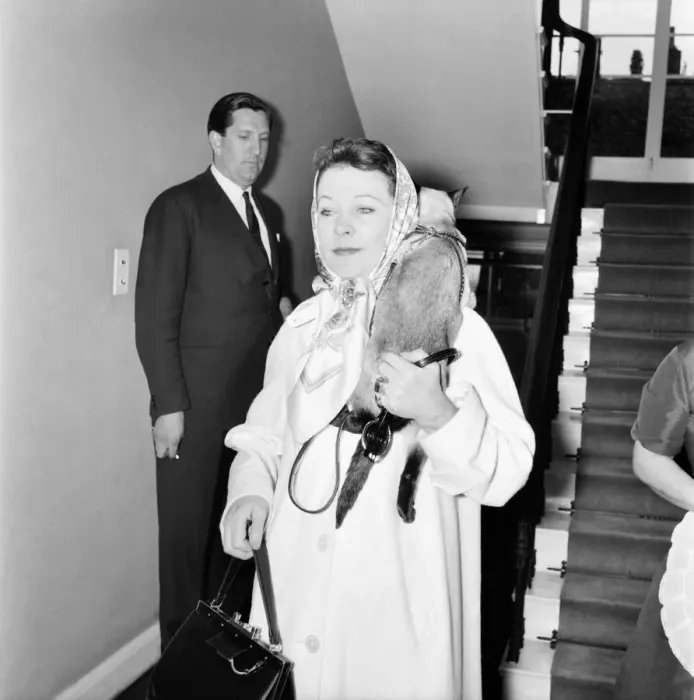 Framed Print : Vivien Leigh leaving her flat at 54 Eaton Square tonight at 6. 15 pm