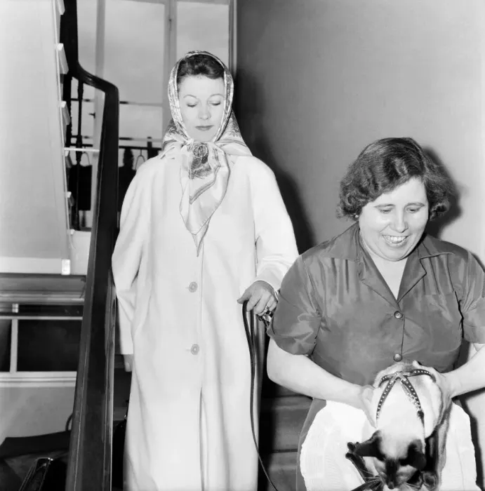 Framed Print : Vivien Leigh leaving her flat at 54 Eaton Square tonight at 6. 15 pm Framed Print : Vivien Leigh leaving her flat at 54 Eaton Square tonight at 6. 15 pm