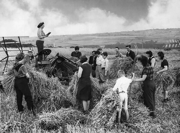 Volunteer harvesters holds a service and prayer in the harvest field at Wylam