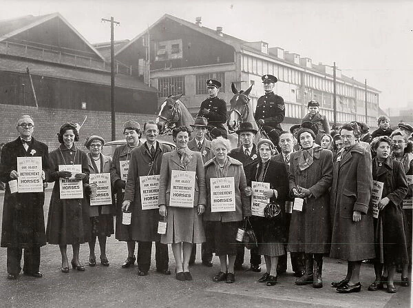 Volunteers from the Friends of Bristol Horses Society ( now HorseWorld