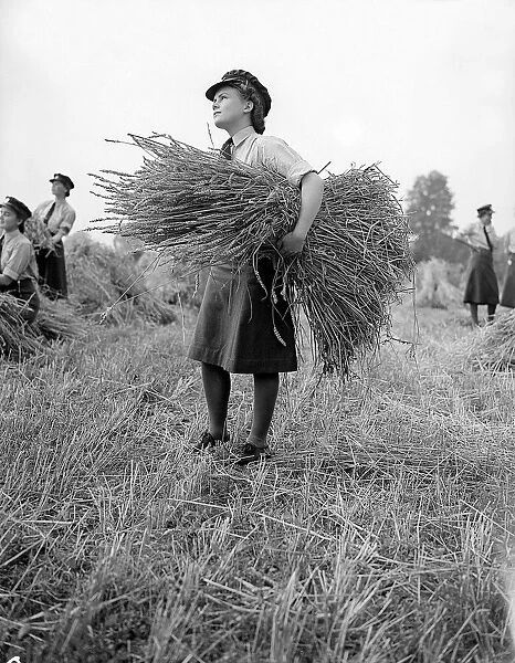 W. A. A. Fs Harvesting during WW2 - September 1941 Women doing mens jobs during