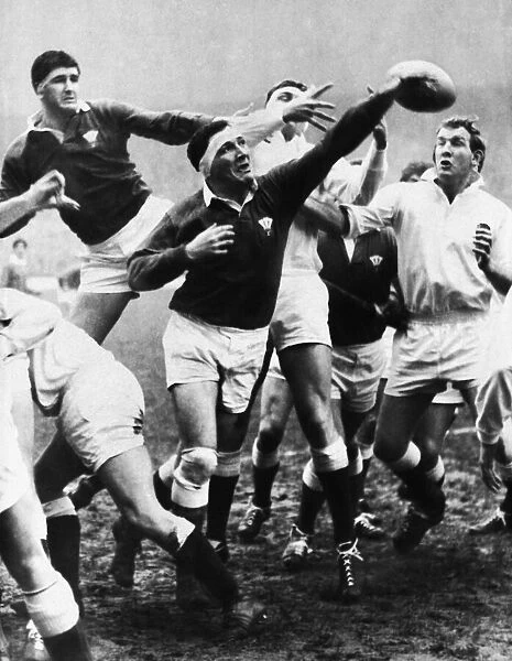 Wales forward Denzil Williams reaches for the ball in a lineout during the international