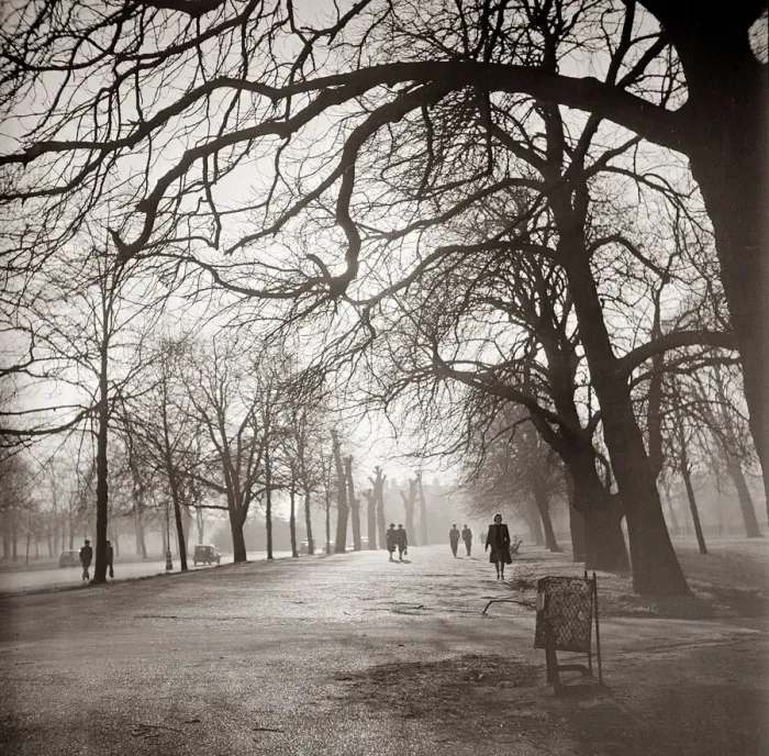 Framed Print : Walkway through Hyde Park People strolling walking underneath the tree lined path Framed Print : Walkway through Hyde Park People strolling walking underneath the tree lined path