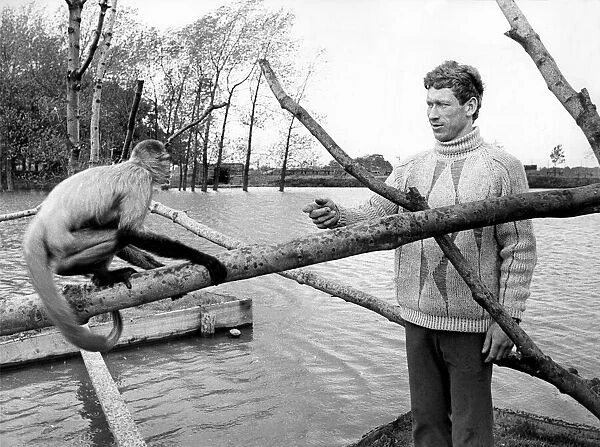 Warden John Howard with one of the baboons at Lambton Pleasure Park in June 1975