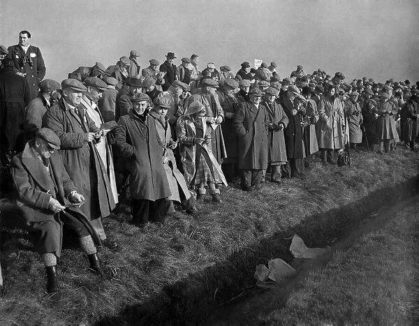 Waterloo Cup. Crowd watching the coursing. February 1953 P011387
