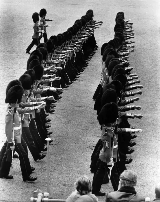 Framed Print : The Wavy Thin Red Line. Guardsmen pictured on Horse Guards Parade ground this Framed Print : The Wavy Thin Red Line. Guardsmen pictured on Horse Guards Parade ground this