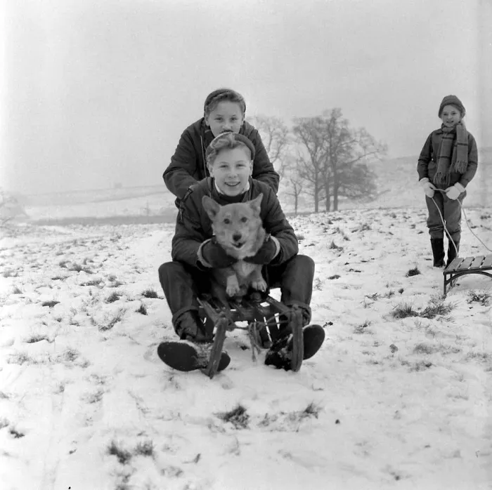 Framed Print : Weather - Snow - Cold Twins Frank and Kenneth Wilkinson of Stockport brought their