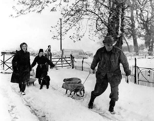 Weather - Snow - The dog food must get through... this hardy trio, Mr Peter Mallin