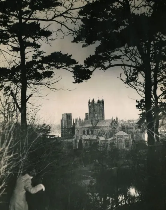 Framed Print : Wells Cathedral Somerset photographed from between two trees 12th century Gothic