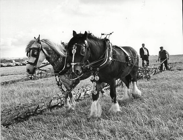West Hallam Ploughing 15th September 1980
