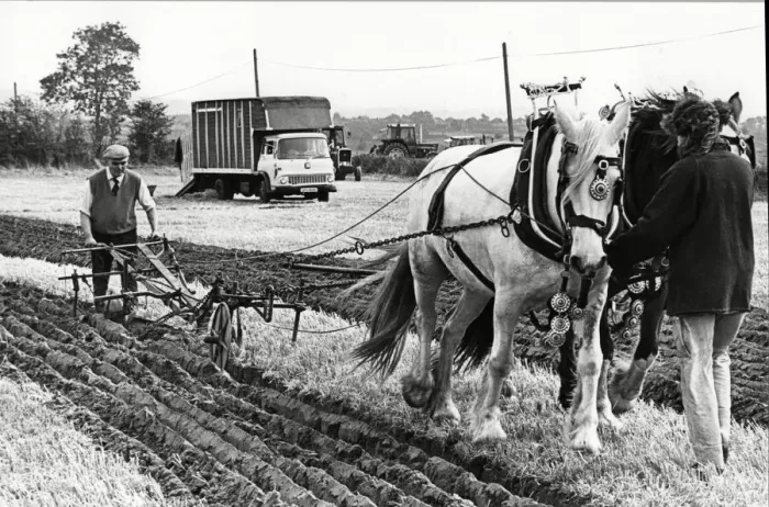 Framed Print : West Hallam Ploughing competition 15th October 1985 Framed Print : West Hallam Ploughing competition 15th October 1985
