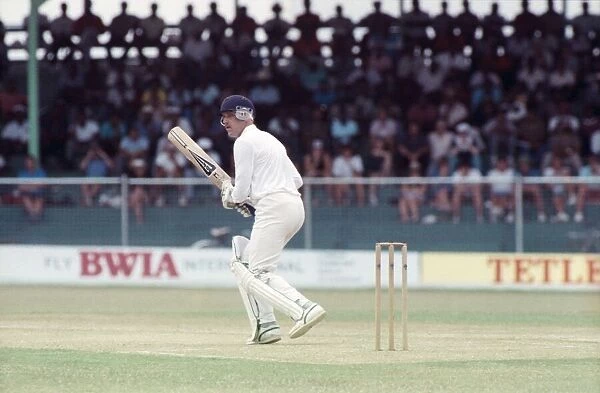 West Indies Cricket. West Indies v. England 5th Test. April 1990 90-2278-115