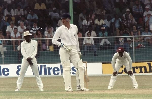 West Indies Cricket. West Indies v. England 5th Test. April 1990 90-2278-131