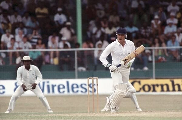 West Indies Cricket. West Indies v. England 5th Test. April 1990 90-2278-116