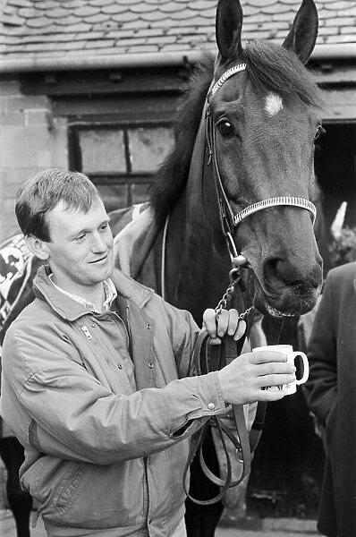 West Tip seen here having a cup of tea on his return to his stables after winning