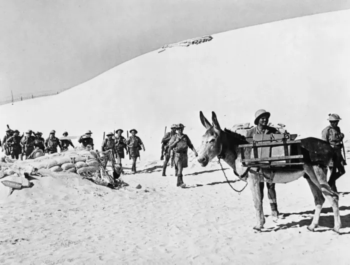 Framed Print : Western Desert Campaign, the Desert War, took place in the deserts of Egypt and Libya Framed Print : Western Desert Campaign, the Desert War, took place in the deserts of Egypt and Libya
