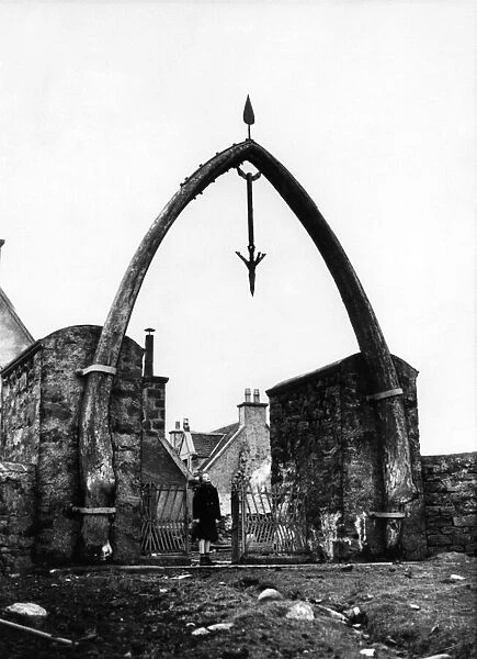 The whalebone arch, the largest jaw bones of a whale in captivity at Lakefield House in