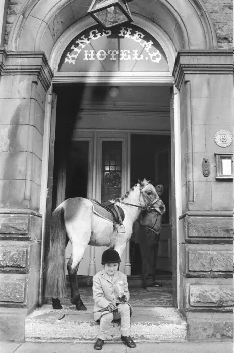 Framed Print : Whisky the pony at his local pub, The Kings Head Hotel Bar in Barnard Castle County