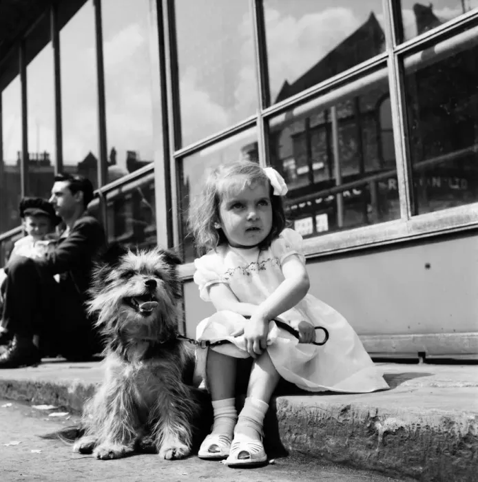 Framed Print : Whit Walks Manchester: The little girl who brought her dog along to walk in the Whit Framed Print : Whit Walks Manchester: The little girl who brought her dog along to walk in the Whit
