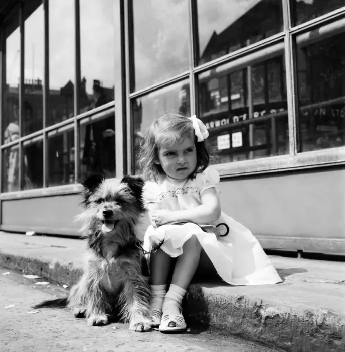 Framed Print : Whit Walks Manchester: The little girl who brought her dog along to walk in the Whit Framed Print : Whit Walks Manchester: The little girl who brought her dog along to walk in the Whit