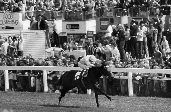 Willie Carson winning the 200th Derby on Troy at Epsom watched by crowds standing on cars