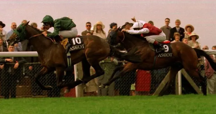 Framed Print : Windsor Castle wins from Three Cheers in the Queens Vase at Royal Ascot June 1997 Framed Print : Windsor Castle wins from Three Cheers in the Queens Vase at Royal Ascot June 1997