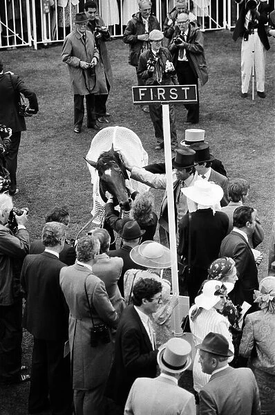 Winner of the Ascot Gold Cup, four year old Paean, ridden by Steve Cauthen