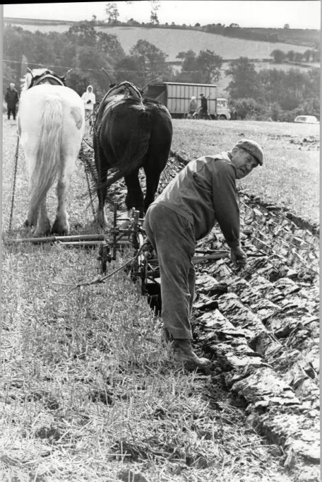 Framed Print : Winner Eddie Appleyard ploughs and sows seeds at the ploughing & hedgecutting Framed Print : Winner Eddie Appleyard ploughs and sows seeds at the ploughing & hedgecutting