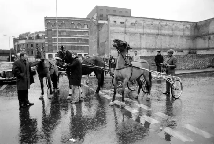 Framed Print : Winner of this years Horse Trotting Exhibition along the Highway, Stepney Framed Print : Winner of this years Horse Trotting Exhibition along the Highway, Stepney