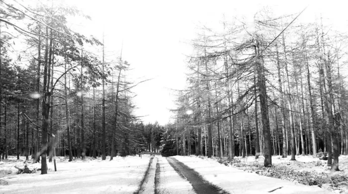 Framed Print : Winter Weather - Snow Scenes 11 March 1982 - Rural scene in Northumberland