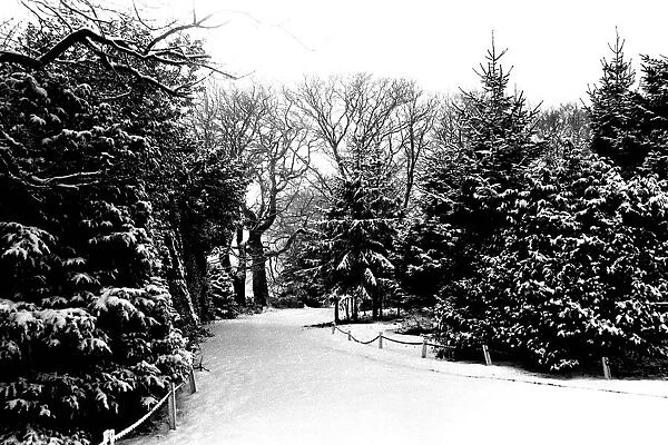 Winter Weather - Snow Scenes 20 February 1986 - Rural scene in Northumberland