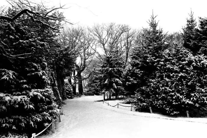 Framed Print : Winter Weather - Snow Scenes 20 February 1986 - Rural scene in Northumberland