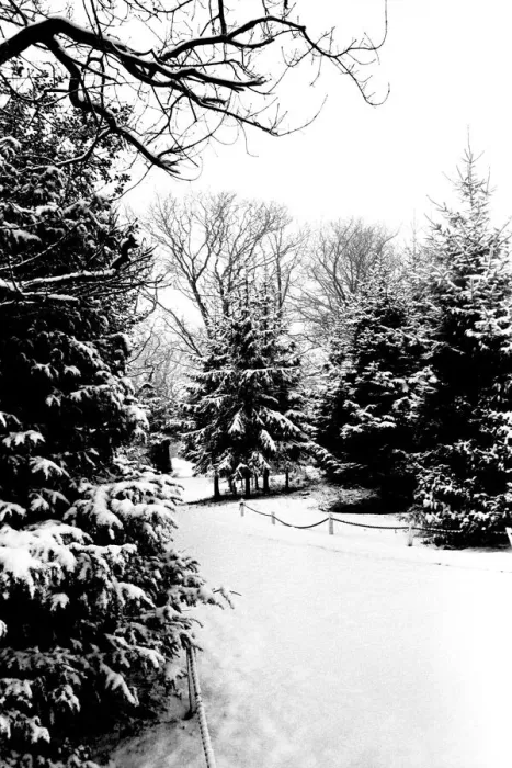 Framed Print : Winter Weather - Snow Scenes 20 February 1986 - Rural scene in Northumberland