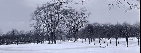 Wintery scene in a park in Hertfordshire circa 1958