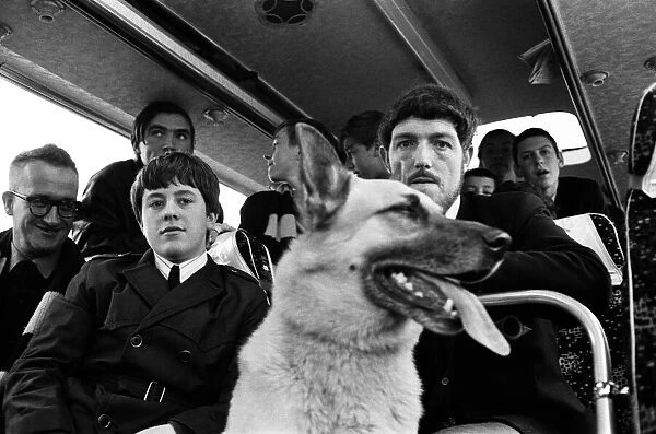Wolverhampton Wanderers fans with a Guard dog on their coach for an away game against
