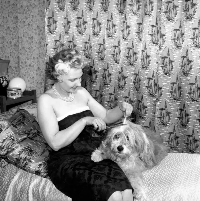 Framed Print : Woman with her dog: 1957 A674-012