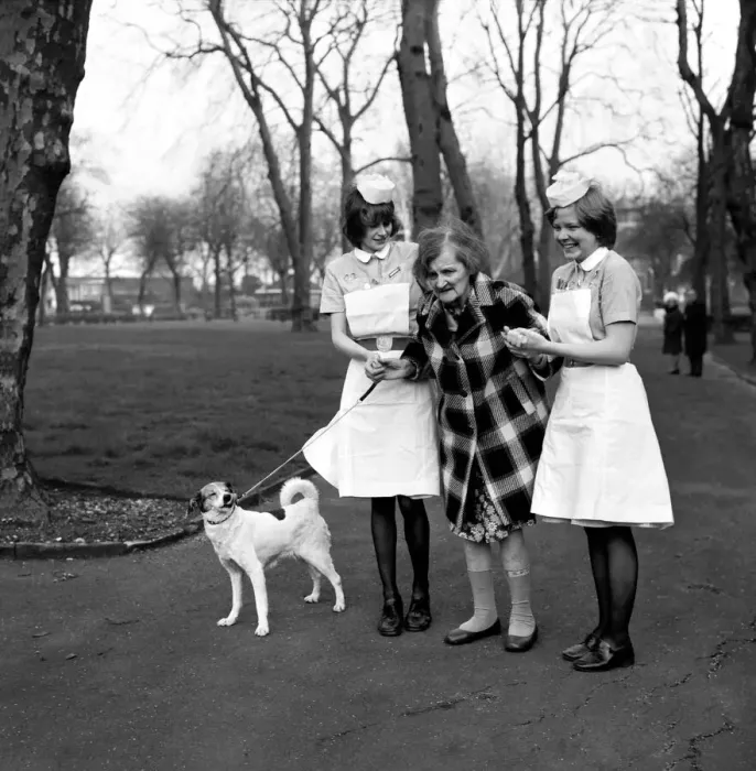 Framed Print : Woman and Dog. Miss Emily Hoban 79. February 1975 75-00750-002 Framed Print : Woman and Dog. Miss Emily Hoban 79. February 1975 75-00750-002