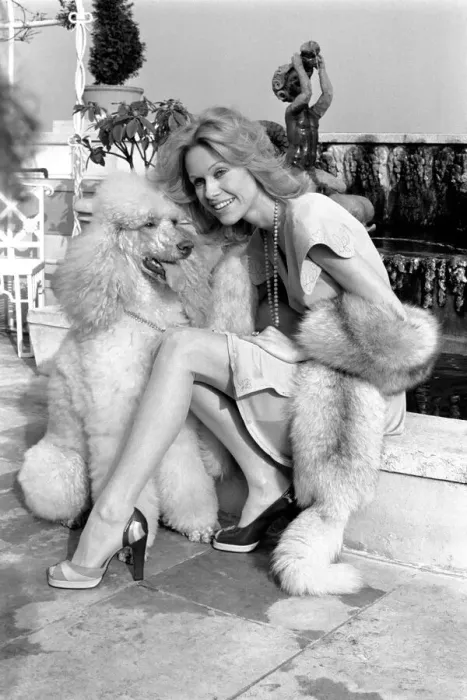 Framed Print : Woman and dog. Suzanna Leigh at todays photo session with her poodle Natashia Framed Print : Woman and dog. Suzanna Leigh at todays photo session with her poodle Natashia