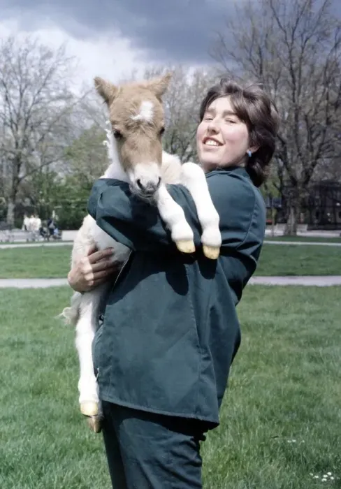 Framed Print : A woman holding Little Mull'a miniature Shetland pony foal May 1983 Framed Print : A woman holding Little Mull'a miniature Shetland pony foal May 1983
