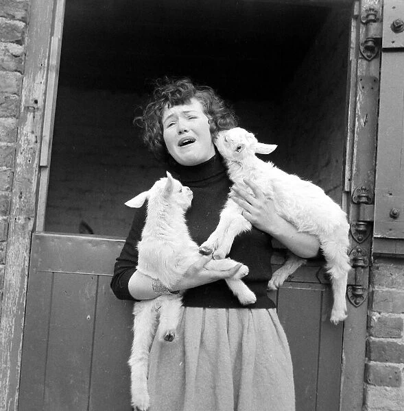 A woman holding new born lambs at Chessington Zoo March 1959