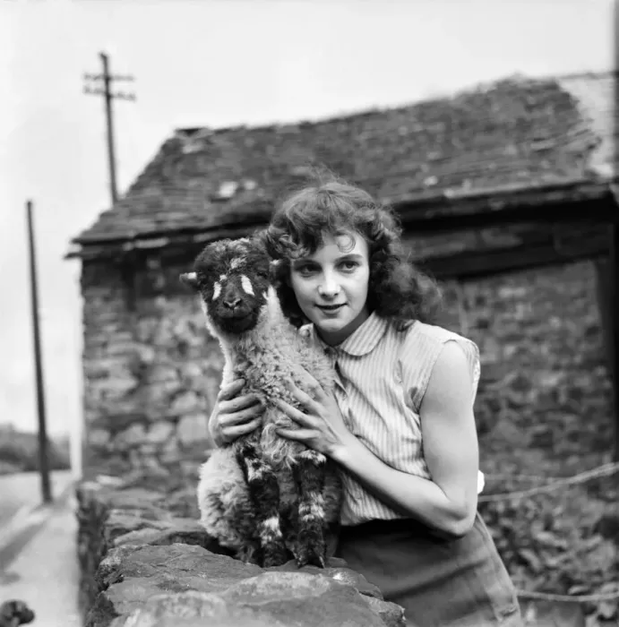 Framed Print : Woman and Lamb. 20yrs old Margaret Harrison of Stalybridge Cheshire with her pet lamb Framed Print : Woman and Lamb. 20yrs old Margaret Harrison of Stalybridge Cheshire with her pet lamb