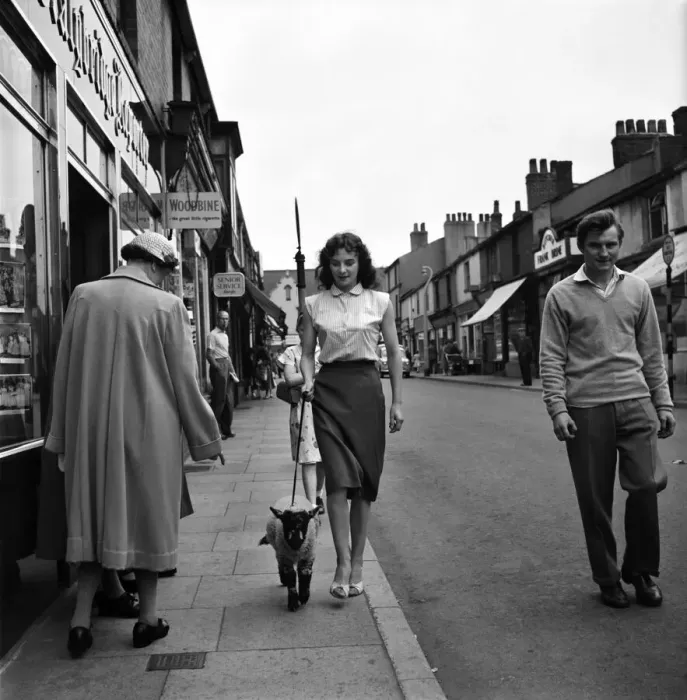 Framed Print : Woman and Lamb. 20yrs old Margaret Harrison of Stalybridge Cheshire with her pet lamb Framed Print : Woman and Lamb. 20yrs old Margaret Harrison of Stalybridge Cheshire with her pet lamb