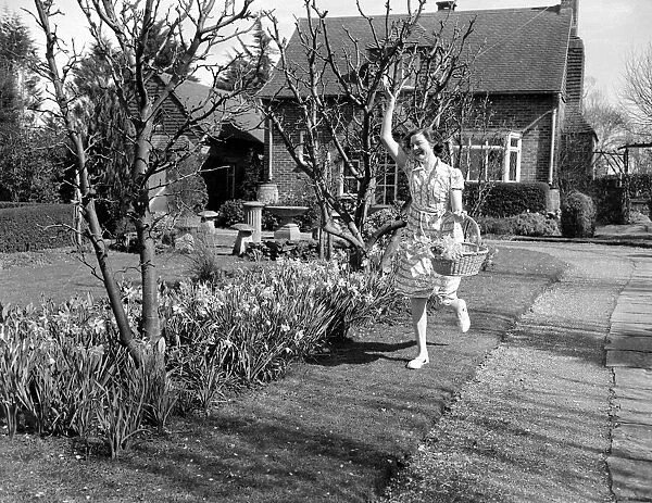 A woman leaping for joy with a basket full of daffodils picked from her garden on a