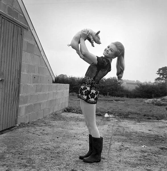 Woman with pig at her relatives farm. October 1969 Z10481-008
