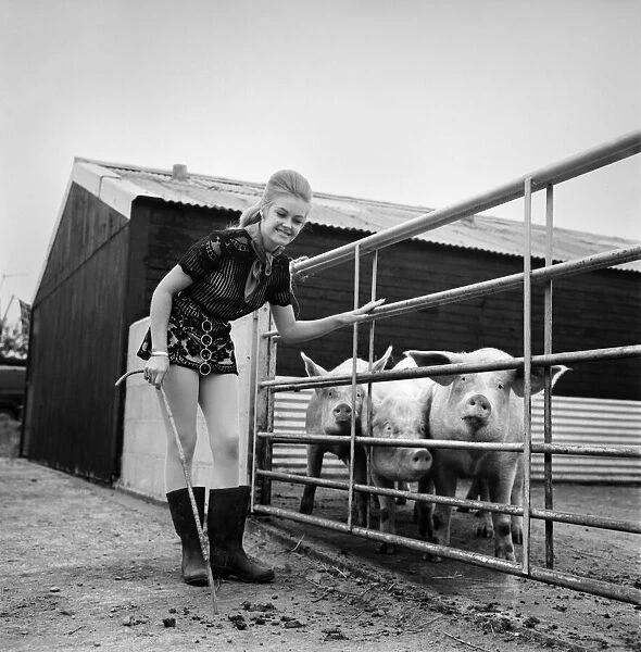 Woman with pig at her relatives farm. October 1969 Z10481